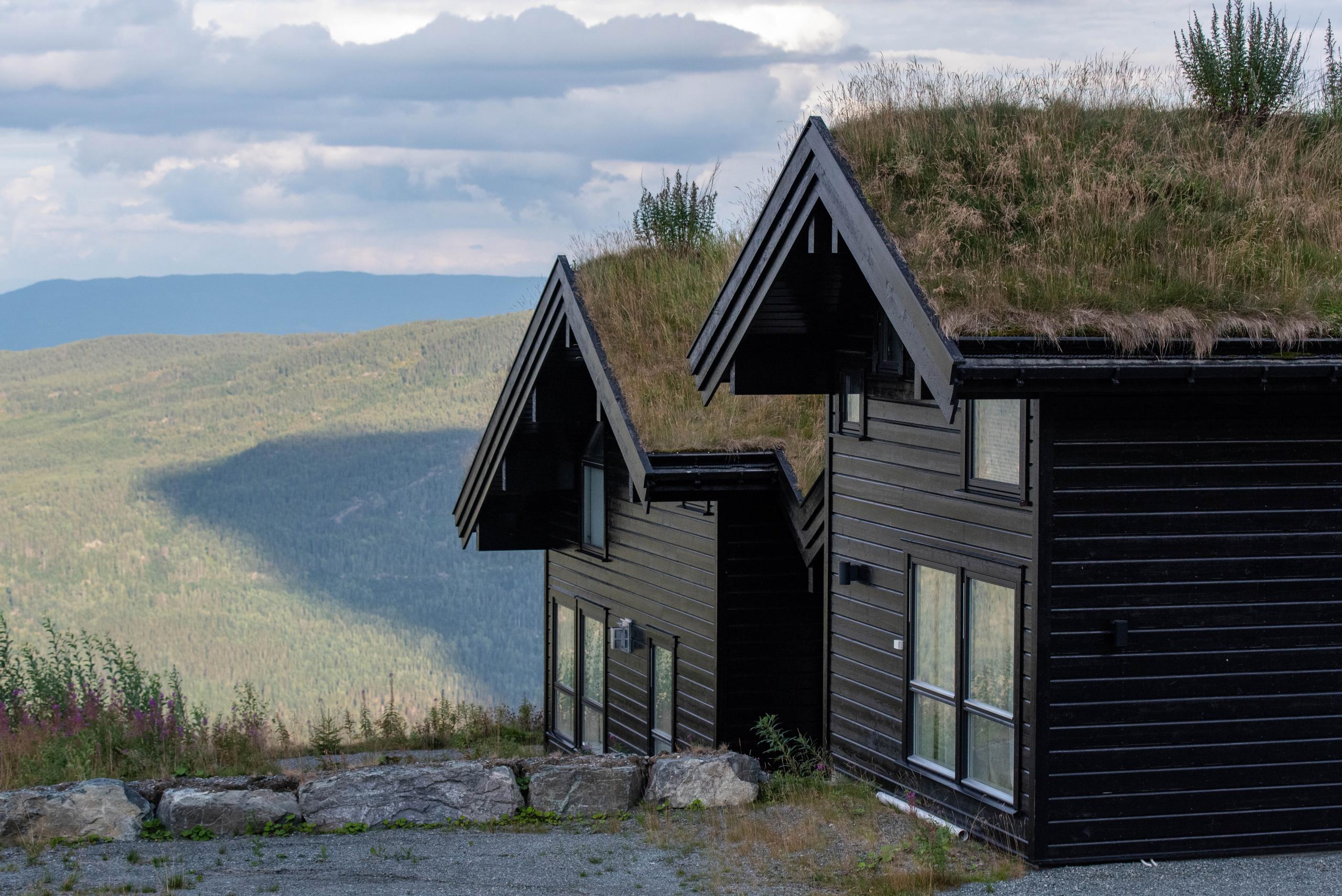 Estonian wooden houses